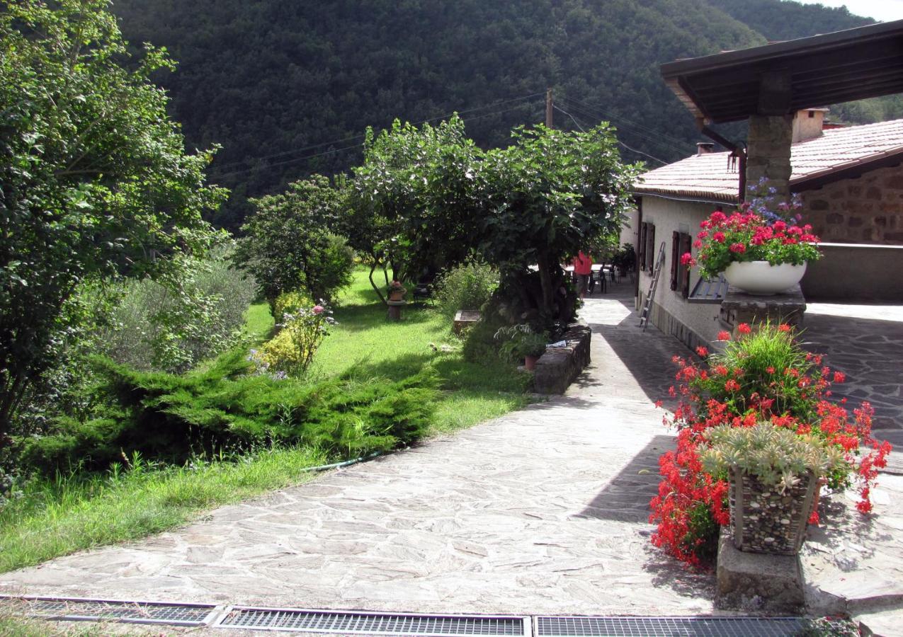 Agriturismo Il Giglio E La Rosa Villa Montale  Room photo